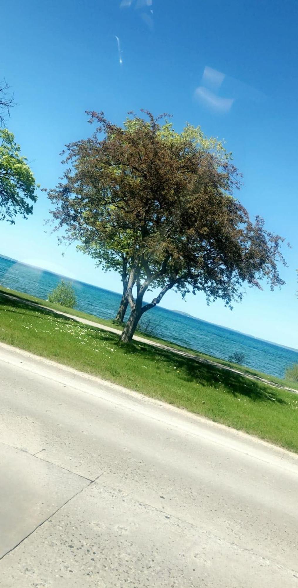 Location Location - Capri Condo 212 Traverse City Bagian luar foto